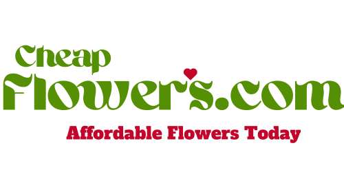 Cheap Flowers