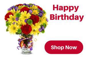 Send Birthday Flowers